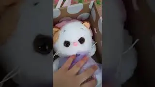 РАСПАКОВКА КОШЕЧКА ЛИЛИ!!! для моей сестрёнки🐈