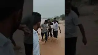 Jaisalmer Rajasthan Heavy Rain Thunderstorm #heavyrain #rain #jaisalmer #thar