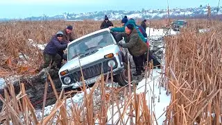 стоковую НИВУ рвут на БЕЗДОРОЖЬЕ