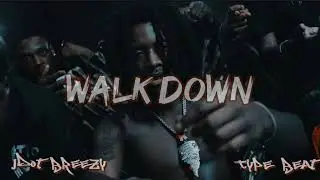 [FREE] JDOT BREEZY x YOUNG DOLPH Type Beat | “Walk Down”