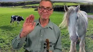 Farm Animals LOVE Traditional English Music! The Katina Hornpipe