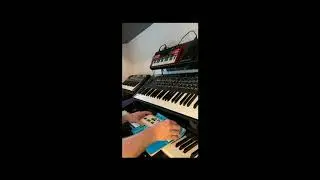 Crappy Casio VL-5 played through Uno Synth Pro Filter and Effects