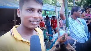 #sorarsor goro bajar 2022 #সরারচর গরু বাজার #বাজিতপুর#কিশোরগঞ্জ#all_vlogs_plogs