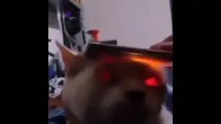 Dorime 😈 ( dorime meme ) 