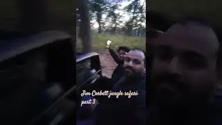 Jim Corbett jungle safari part 3 #music #reels #song #bollywood #newsong #junglesafari