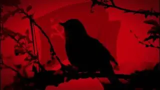 Соловьи России | Nightingales of Russia (V3)