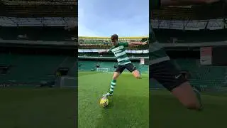 What dreams are made of ✨ The Champions of Portugal : @SportingCP 🤝💚 #streetpanna