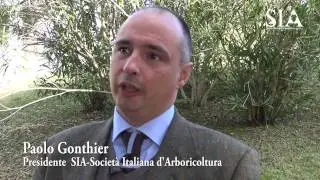 Arborday 2016 Lignano Sabbiadoro ||SuPerAlberi
