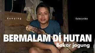 Bermalam di hutan sambil bakar jagung, suasana yang tenang