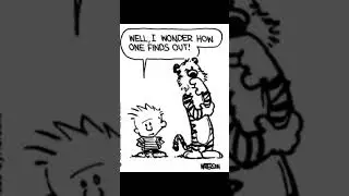 #67 Calvin and Hobbes