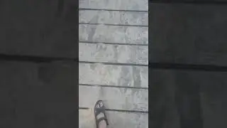 Прикол 1. Утро отставного опера