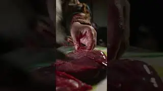 🤔 Как готовят мясо в тундре. Жизнь и быт кочевников оленеводов #рекомендации #ямал #крайнийсевер