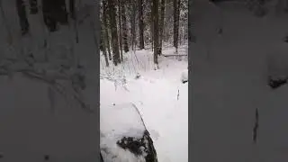Вездеход ТДН мосты УАЗ на старой лесной дороге зимой.