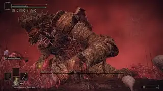 Elden Ring - Dragonkin Soldier Lake of Rot No Damage | Bastard Sword (Impaling Thrust).