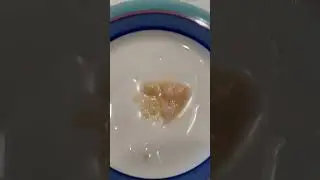 HELP! My cat can’t “GO”!  HOME remedies!