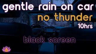 [Black Screen] Gentle Rain on Car | Rain Ambience No Thunder | Rain Sounds for Sleeping