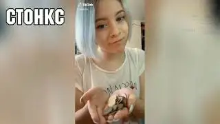 Все мемы 2020 и 2021 года