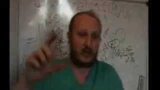Сердечно-сосудистая система. Воздействие массажа и спорта на организм. Лекция.