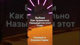 Выбери правильное название скина 