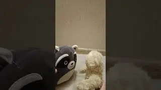 Енотик и  Мишка 