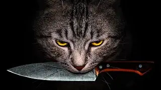 Cats Are Killing the Ecosystem