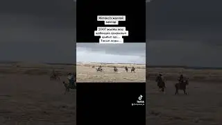 Жетексіз жаппай