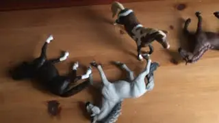 Hate and Love #2 | Schleich music video
