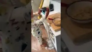 НАГЛЫЕ гости с ДЕТЬМИ КРУШАТ ЧУЖИЕ квартиры #shorts