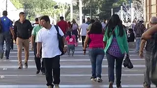 La demencia