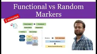 Functional and Random marker basics. Gene based, trait linked marker.