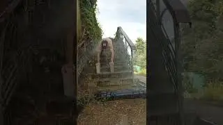 Когда включается душ  при помощи кирпичей.....
