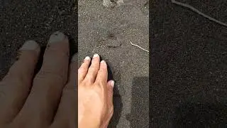 masi perawan uang kuno