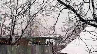 Fresh snowfall in sonamarg kashmir