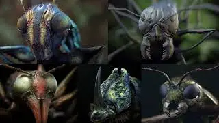 Insect detailing brushes for ZBrush!