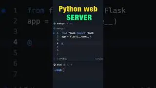 Python Web Server  