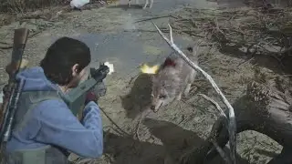 Wolves in Survival 2 in Days Gone