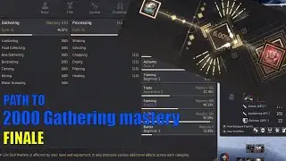 EU/NA First 2000 gathering mastery!!! | Path to 2000 mastery FINALE | Black desert online