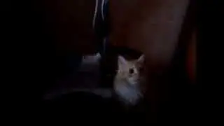 Мой Тоша 7