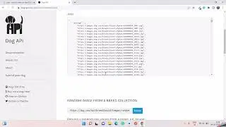 how to use other API in flutter | flutter tutorial | day48 part(1) |