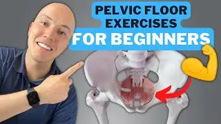 Kegels for Men: A Step-by-Step Guide to a Stronger Pelvic Floor