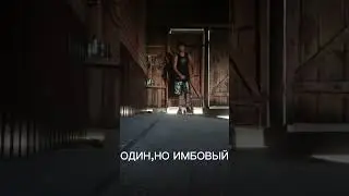 ТИПЫ САМОКАТКРОВ