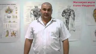 Отзыв об обучении в школе Елены Дикаревой