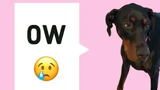 We got Storm spayed..😥
