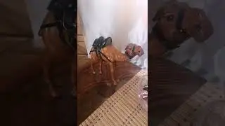 Вы можете создать другой мир