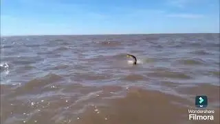 ESTO ES LO QUE NO TE PUEDE PASAR, 