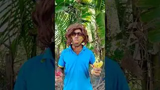 ASMR AMERICA'SORIGINAL DUBBLEBUBBLE GUM (3 FRUIT FLAVORS)