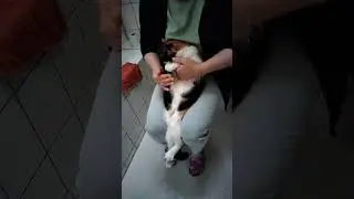 Belly massage for Sweet Baby 😍