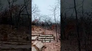 Стих дня 