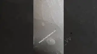 Барс-2 Боотуры🙏