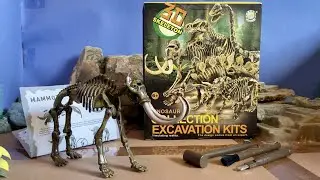 Dinosaur Collection (Mammoth) Fossil Excavation Kit (Please Read Description)